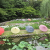 名古屋市東区徳川園「雨を聴くー徳川園の和傘」に行ってきました。（７月７日まで）