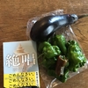 お野菜と本