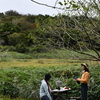 秋分に入る伊予国遊山　霧中