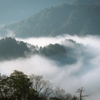 雲海・信楽