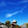 京都ぶらり　本日の一枚　大雲院