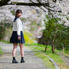 桜花爛漫  惜しむ春❣️ なるはちゃん その23 ─ リクエスト撮影 2024.4.11 松川周辺 ─