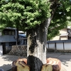 岐阜市上宮寺『第19回岐阜アートフォーラム〜ドーナツリンネ〜』（5月11日まで）