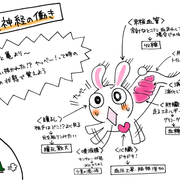 脳 神経疾患