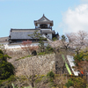 四国旅行&写真日記：4/3(木) 高知県の高知城、粟生聖天 定福寺、杉の大杉（日本一高さ）