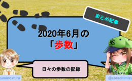 記事を見る