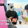 ウェイブがわかる100のこと【後編】