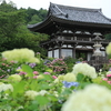 京都府福知山市「観音寺」