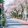 桜が運んできたもの