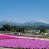 芝桜まつりへ。