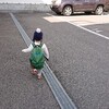 伊丹スカイパーク
