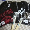 【アニサマ2010】animelo summer live2010～evolution～参戦日記　＜その10＞