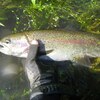 北海道　阿寒川の釣り　20160707　/　 ラビスタ阿寒川が出来てから初めての釣行