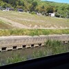 もうすぐだだちゃ豆の植え付け