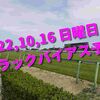 2022,10,16 日曜日 トラックバイアス予想 (東京競馬場、阪神競馬場、新潟競馬場)