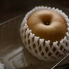 日常を撮る