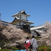 石川門のお花見