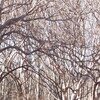 言い聞かせる／情報前線時代・72