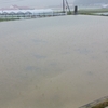 大雨につき、、、