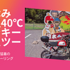 気温40℃の中、モンキーで温泉ツーのモトブログ