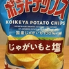 午前中のおやつ！湖池屋『ポテトチップス じゃがいもと塩 大盛りサイズ』を食べてみた！