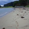 遅い昼食　能登島