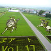 田んぼアート　２００９