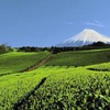 美人が多い県といえば静岡！美しさの秘訣はお茶と温泉？おすすめの観光スポットも紹介！