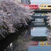 赤い電車と川と桜と