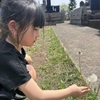 ４９日と日帰り温泉。The 49th Day Has Come to a Close