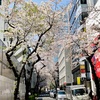 重文になった喜多能楽堂の品川能楽鑑賞会へ