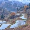 蒲生の棚田