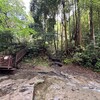 ”横浜にある秘境”、「陣ヶ下渓谷公園」に行ってみた
