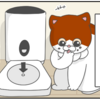 着々と腕を磨く猫