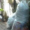 自家木の剪定の季節
