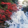 奥日光の観光地をまわる　～奥日光1泊2日旅その4～