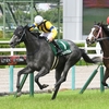 競馬初心者必見☆馬券予想🔥〜マーメイドS〜単勝1桁オッズが7頭の大混戦‼️