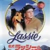 名犬ラッシーの大冒険