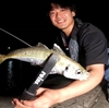 知多半島アジ釣れてます！！