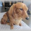 パソコン教室から帰ったら・・・・(-"-)