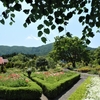 なつかしの香木の森公園と周辺散策 ⑦（島根県邑南町）