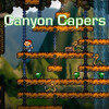 PC『Canyon Capers』Crazy Moo Games