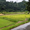 イノシシ、二ホンジカ、さぁ来い！