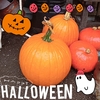 かぼちゃ🎃の蒸しパン⋆⸜♡⸝‍⋆たっぷり入って美味しすぎたよぉ😍😍