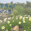 【北海道・日高】低山なのに高山植物が楽しめる！　アポイ岳
