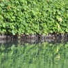 「ほんとうに大切な言葉は血肉となって、意識のレベルには浮かんでこない」～人生の答え合わせ④