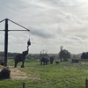 ZSL Whipsnade Zoo