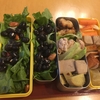 ロメインレタス多め弁当