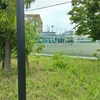(巻四十四) 独り来て帰る不安や大花野(高田ひ*^^*)