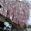 湯水混合栓交換〜桜探訪ツーリング